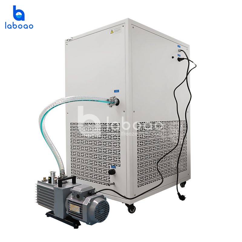 6-7kg Food Freeze Dryer Lyophilizer For Vegetables And Fruits