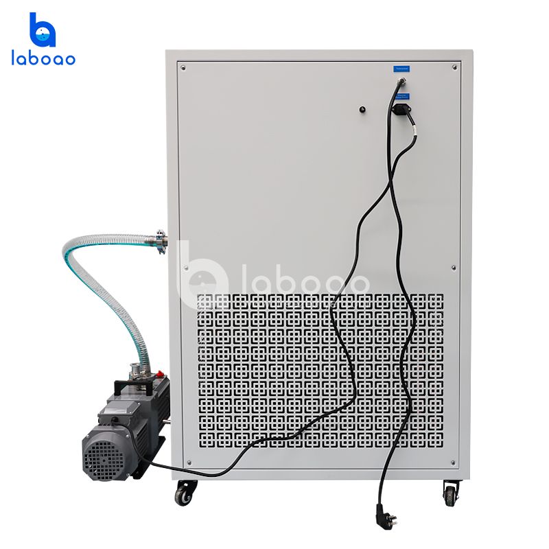 6-7kg Food Freeze Dryer Lyophilizer For Vegetables And Fruits