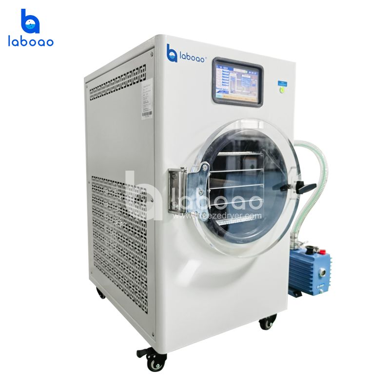 6-7kg Freeze Dryer Lyophilizer For Fruits And Vegetables