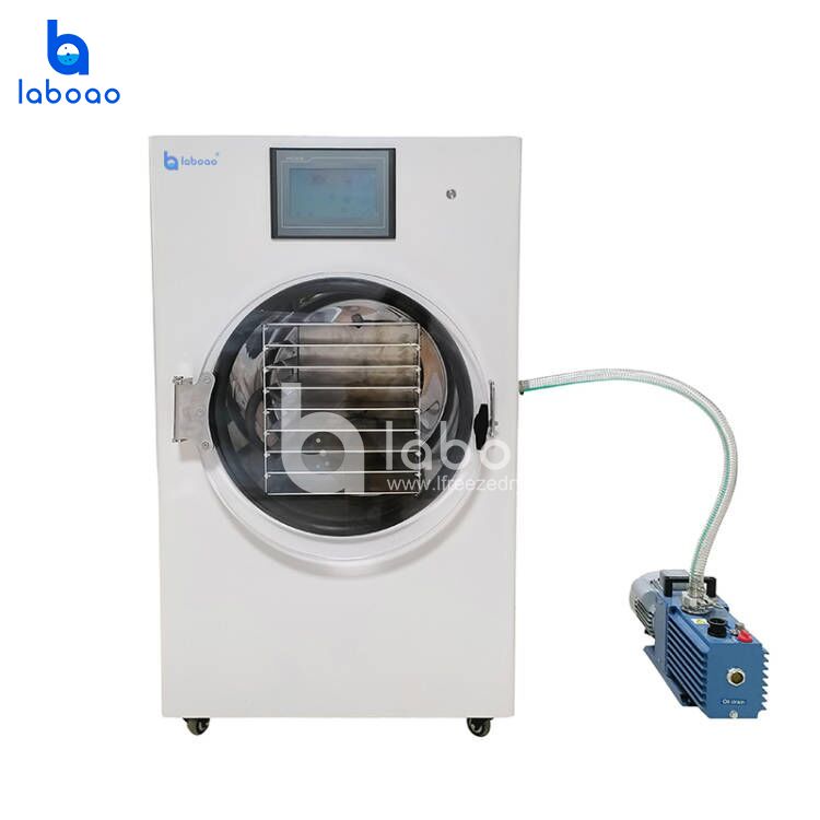 8-10kg Food Freeze Dryer For Candy Skittles