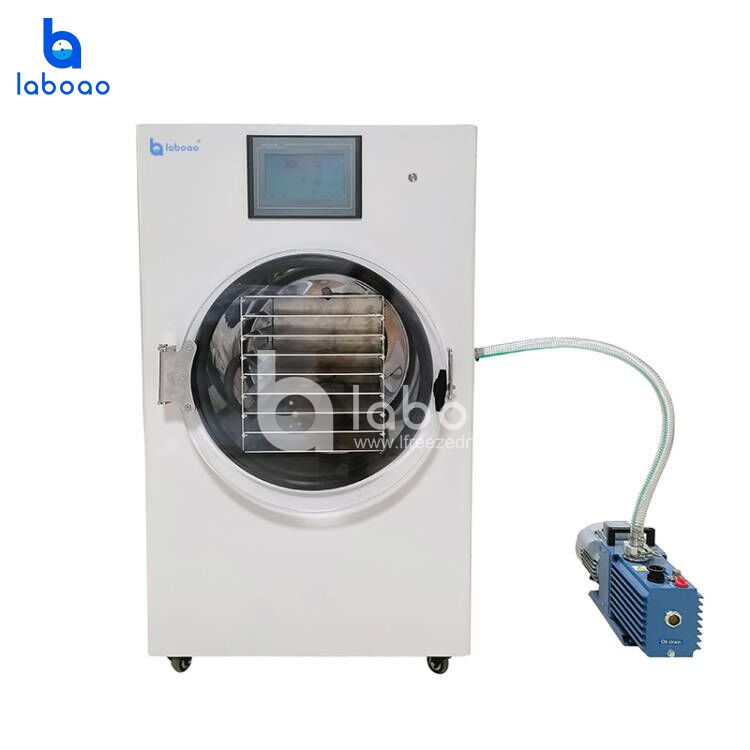 8-10kg Food Freeze Dryer