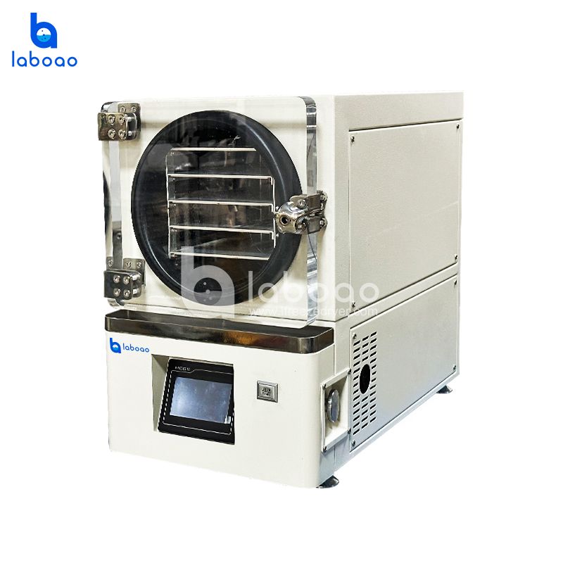 Benchtop Mini Vacuum Freeze Dryer With Built In Vacuum Pump