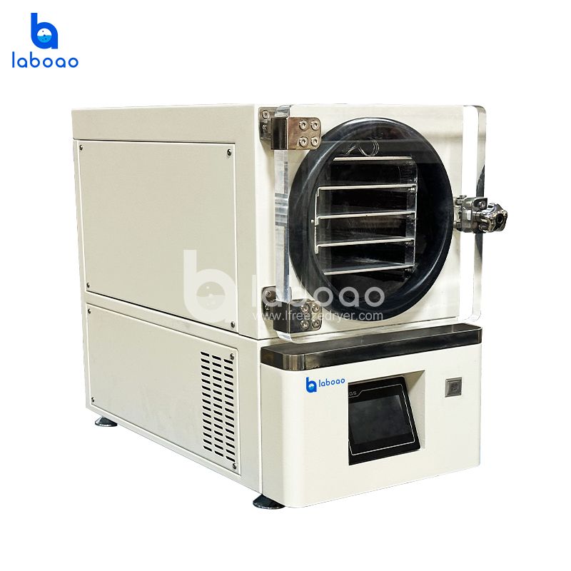 Benchtop Mini Vacuum Freeze Dryer With Built In Vacuum Pump