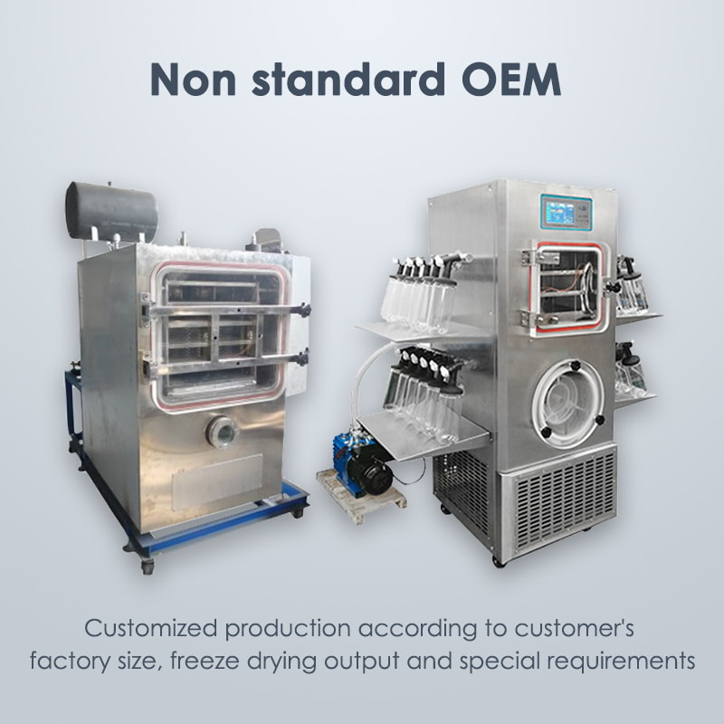 OEM Freeze Dryer