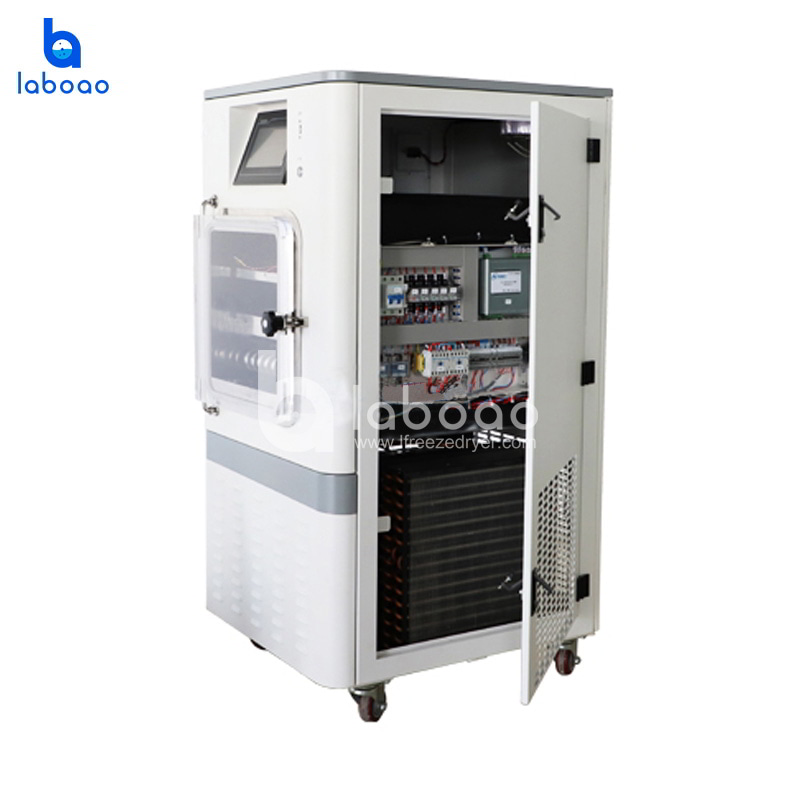 0.2㎡ Electric Heating In Situ Freeze Dryer